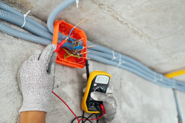 Best Electric Panel Repair  in Columbus, WI
